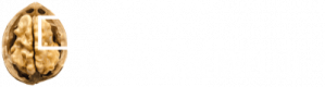 L'ora di cervello